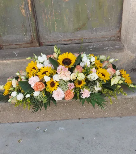 20230626_182008_11zon